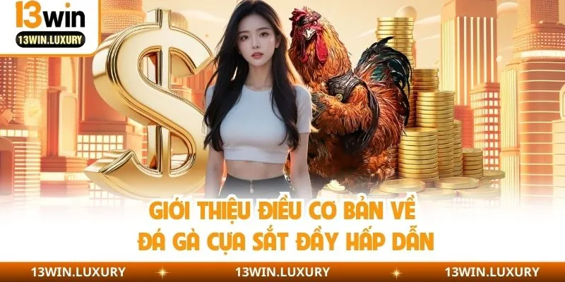 Giới thiệu điều cơ bản về đá gà cựa sắt đầy hấp dẫn