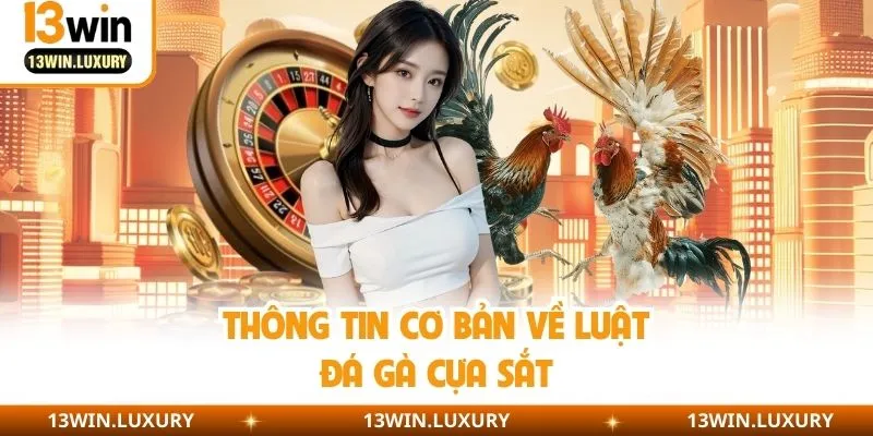 Thông tin cơ bản cần nắm về chọi kê cựa sắt