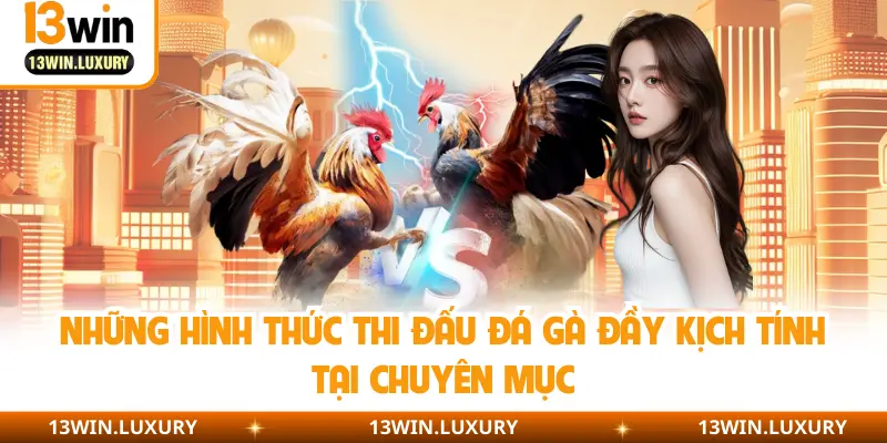 Những hình thức thi đấu đá gà đầy kịch tính tại chuyên mục